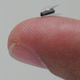 Illustration for article titled New Tiny Robots Can Crawl Through Your Veins